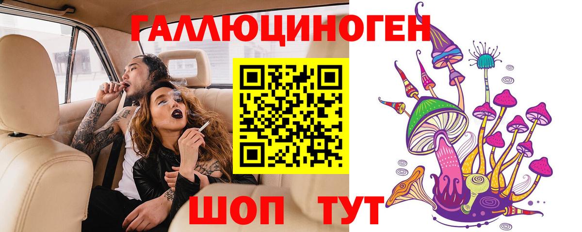 Лыткарино  Псилоцибиновые грибы GOLDEN TEACHER  Псилоцибиновые грибы Psilocybine cubensis  Вход с VPN 